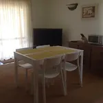 Ferias * 라고스